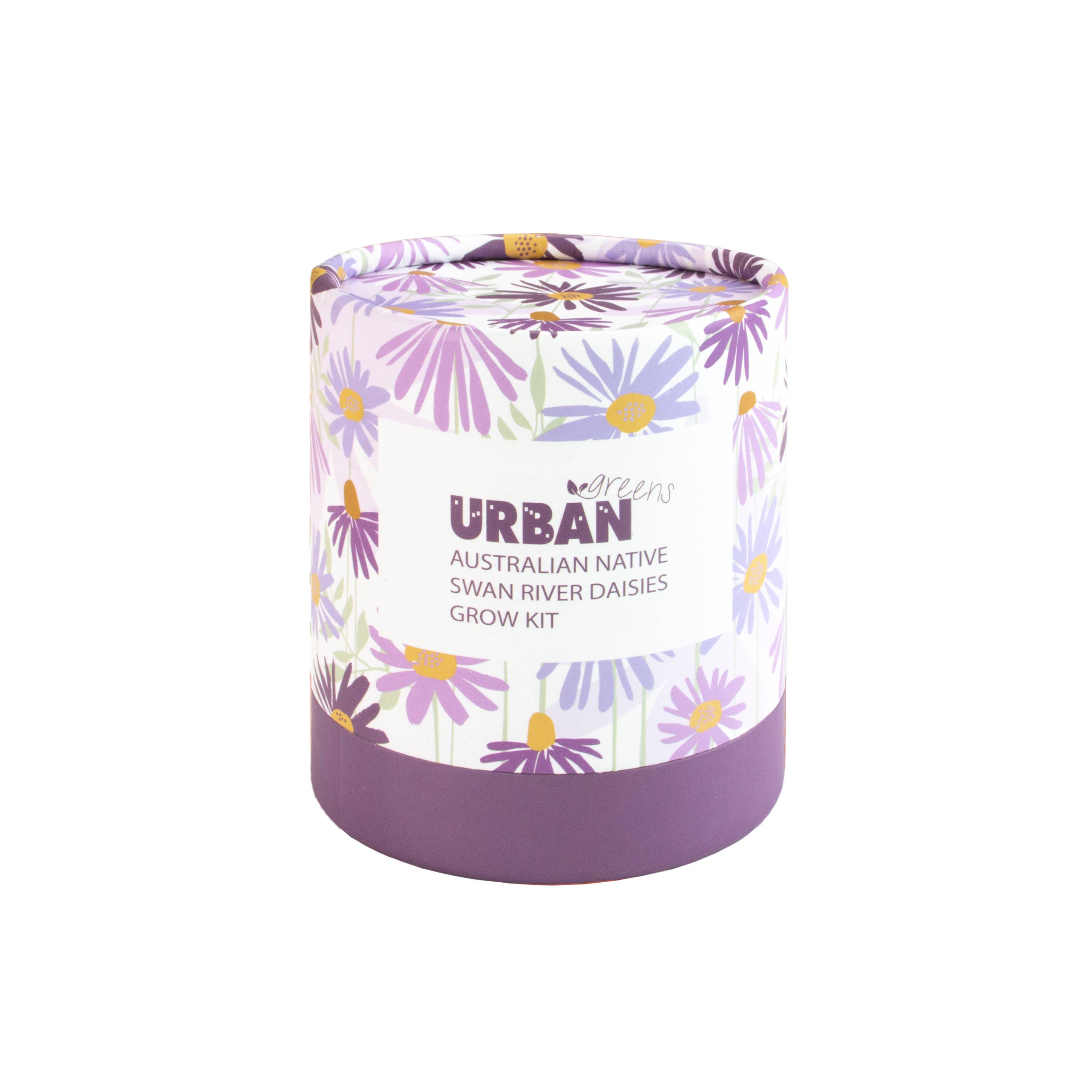 Urban Greens - Wholesale Plant seeds - Urban Greens Australian Native Swan Daisies Grow Kit
