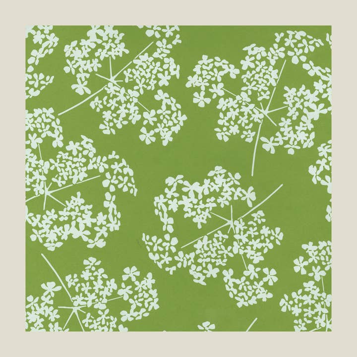 Carta da regalo al prezzemolo di mucca per la vendita all'ingrosso da parte di Kinaloon