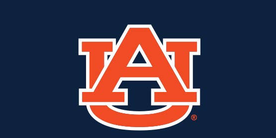 HuggleGroup - Wholesale Pet Plush Toy - Dog - Auburn University, Aubie the Tiger Knottie® Plush Dog Toy3