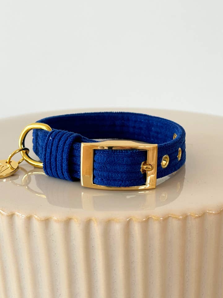 KLASSISK HUNDEHALSBÅND - KONGBLÅ for engroshandel hos Moniandme