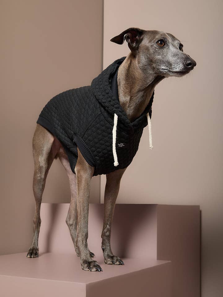Italiensk Vinthund / Whippet Svart Texturerad Huvtröja BIRCH för wholesale av The Striped Dog