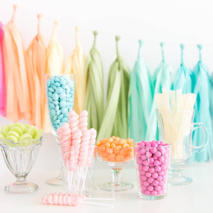 The Flair Exchange - Wholesale Bunting/Garland - Rainbow Tassel Garland Kit