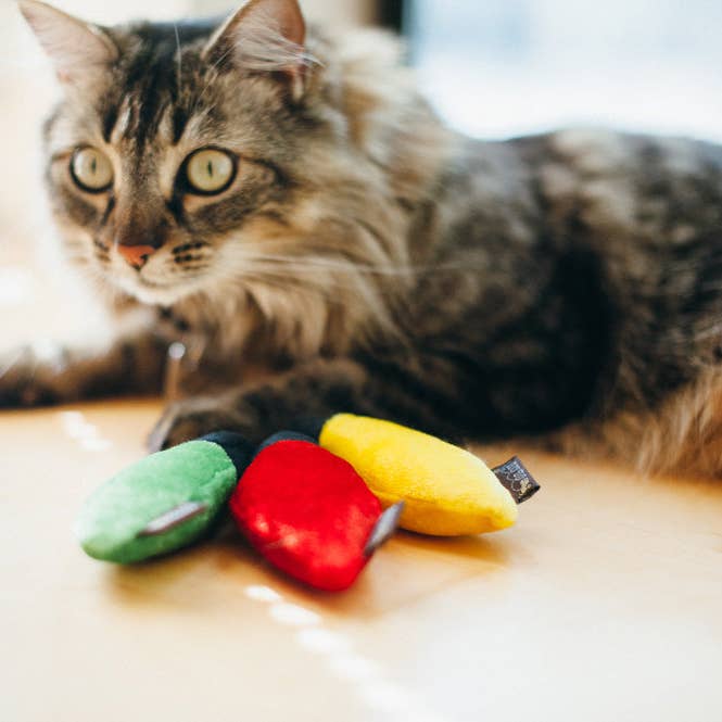 In Vogue Pets – wholesale Pet toy set – Cat – Feline Frenzy Christmas Lights Cat Toy Set of 31