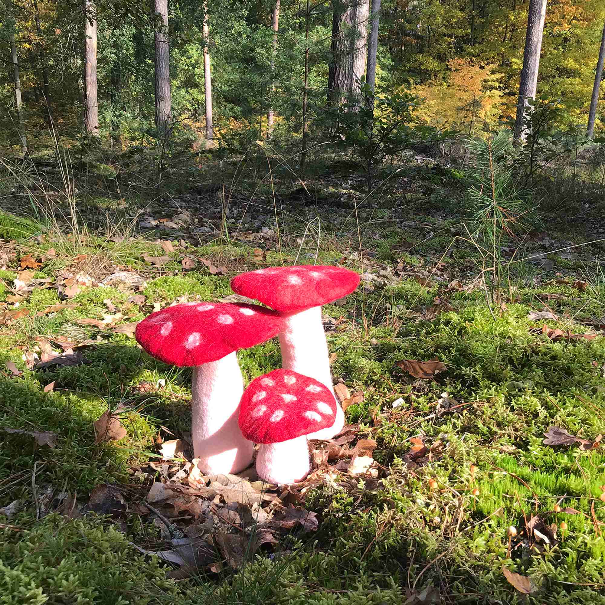 Tribal Trade GmbH - Vendita all'ingrosso Statuette decorative - Fungo amanita muscaria in feltro rosso, disponibile in 3 dimensioni17