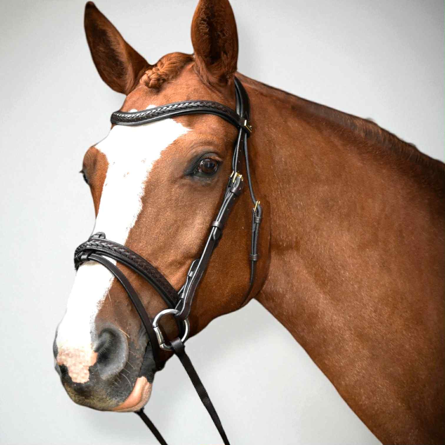 EPONIA EQUESTRIAN LIFESTYLE - Venta al por mayor Equipamiento de equitación - Brida con detalles clásicos trenzados en cuero italiano5