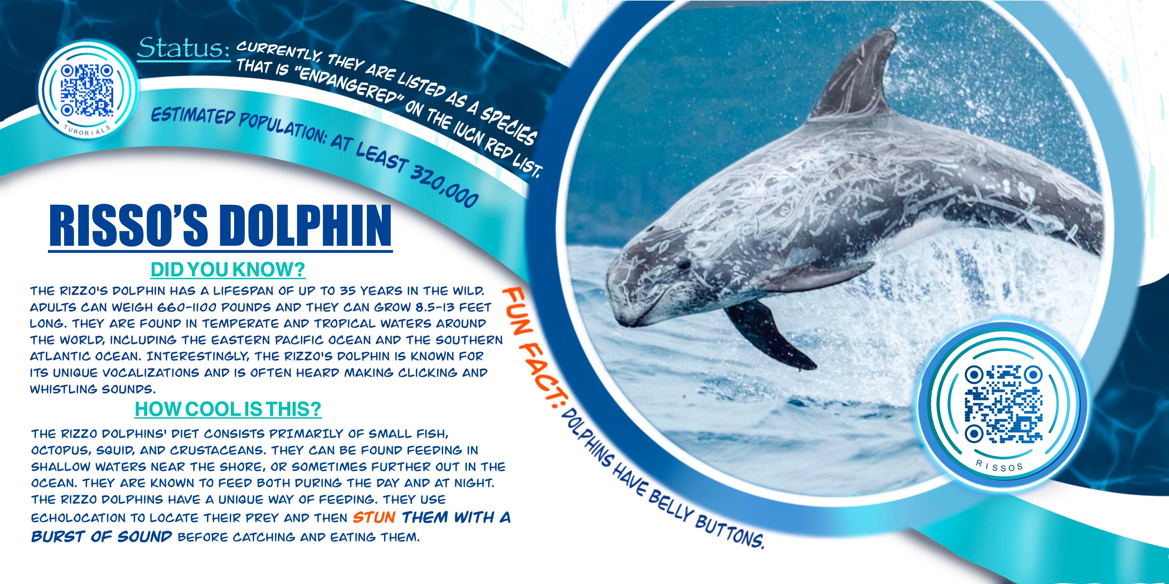 Love Kathleen Productions – Engroshandel Malebog - Børn og baby – Coloring Passport Dolphin Edition 1 Alder 5-12510