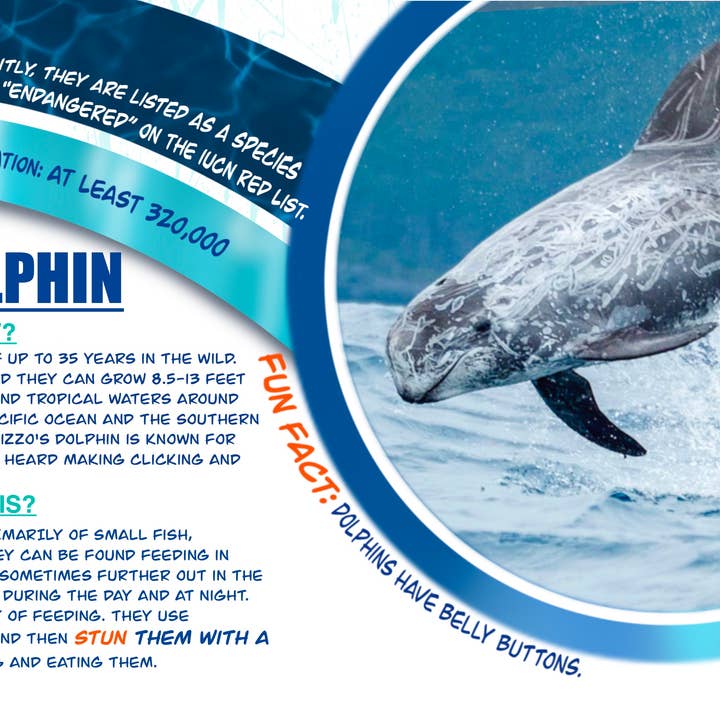 Love Kathleen Productions – Engroshandel Malebog - Børn og baby – Coloring Passport Dolphin Edition 1 Alder 5-12510