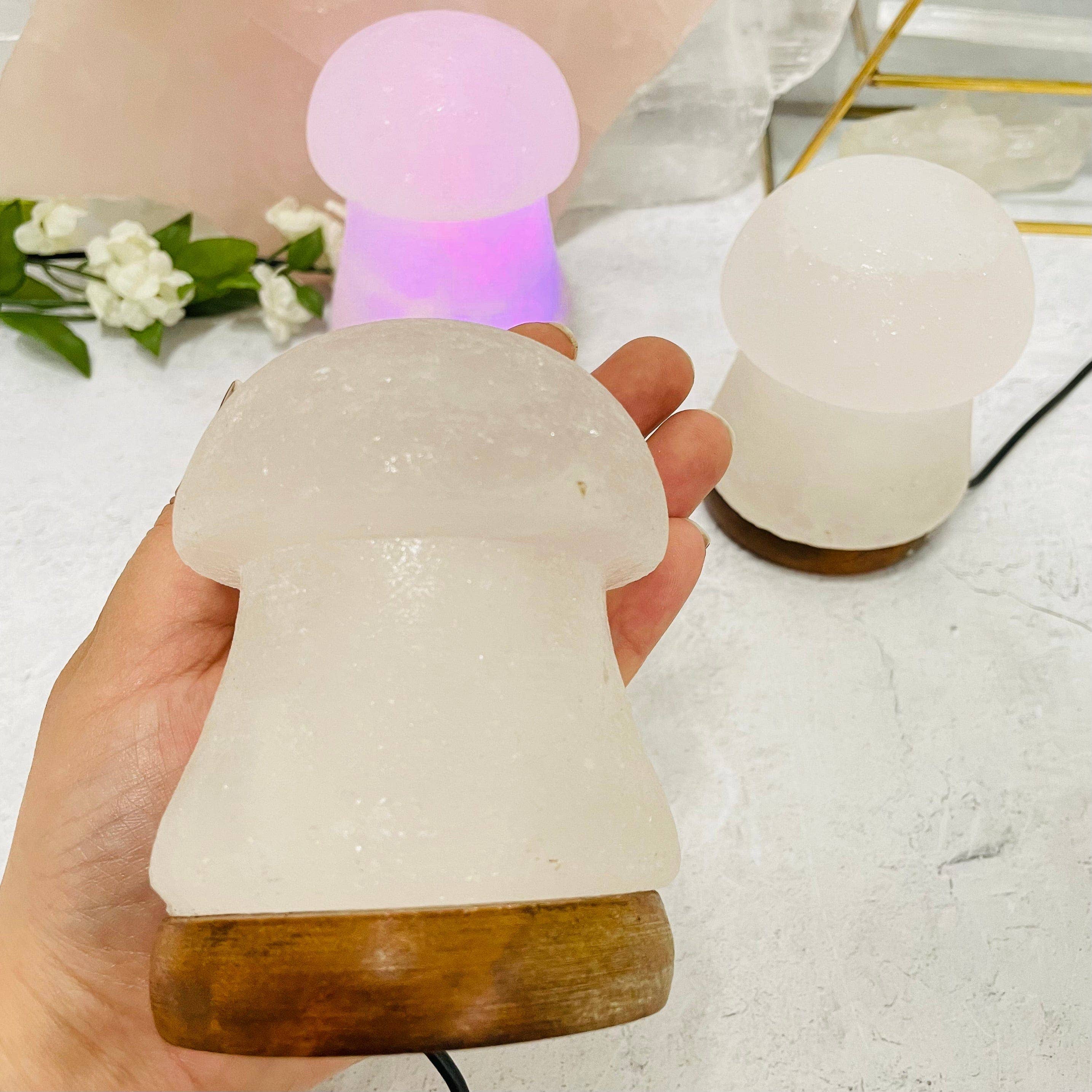 Rock Paradise - Venta al por mayor Lámparas de sal - Lámpara de cristal en forma de hongo blanco salado del Himalaya, que cambia de color4