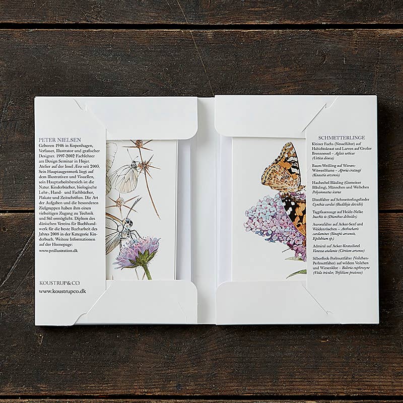 Koustrupco - Wholesale Stationery/Notecard Set - Cardfolder Schmetterlinge - 8 cards w/envelopes (german)1