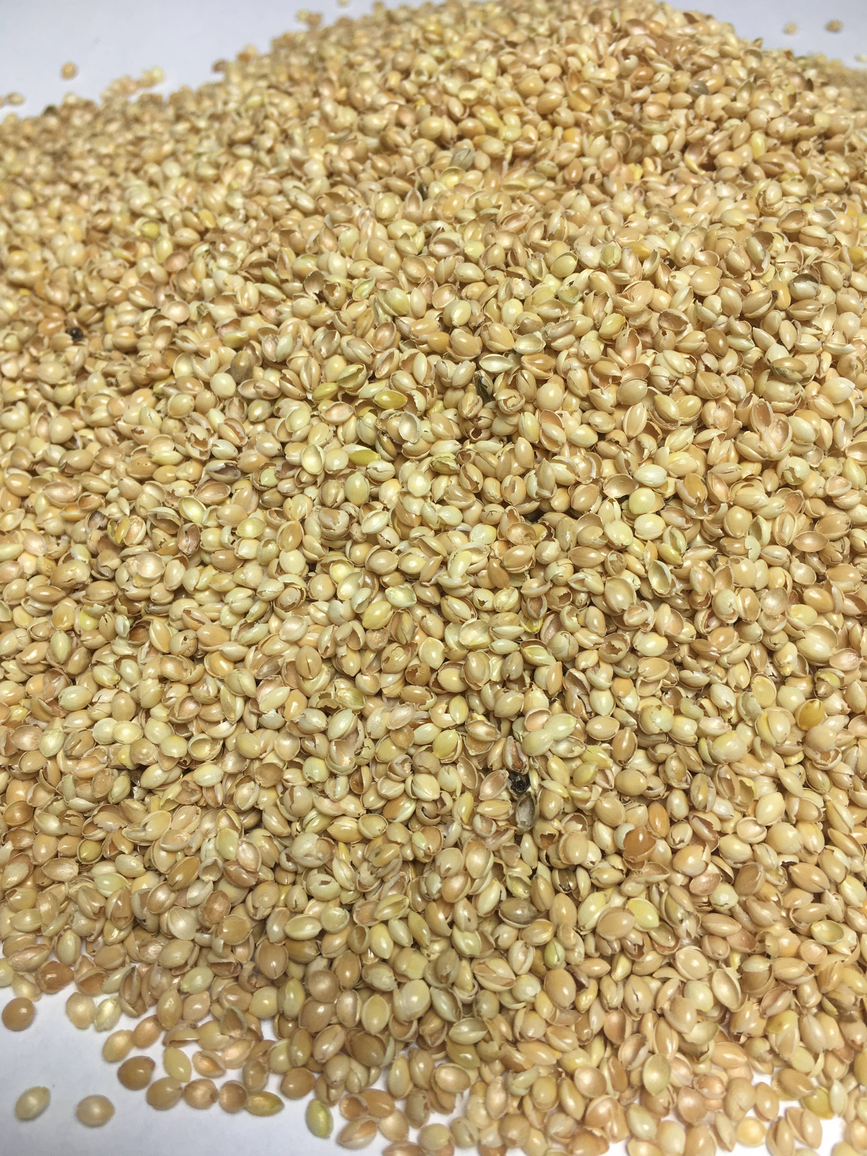 Pat & Patty – Travesseiro/almofada - Crianças e bebés por atacado – Almofada de cuddle para crianças eco “dog” /HUD-3203