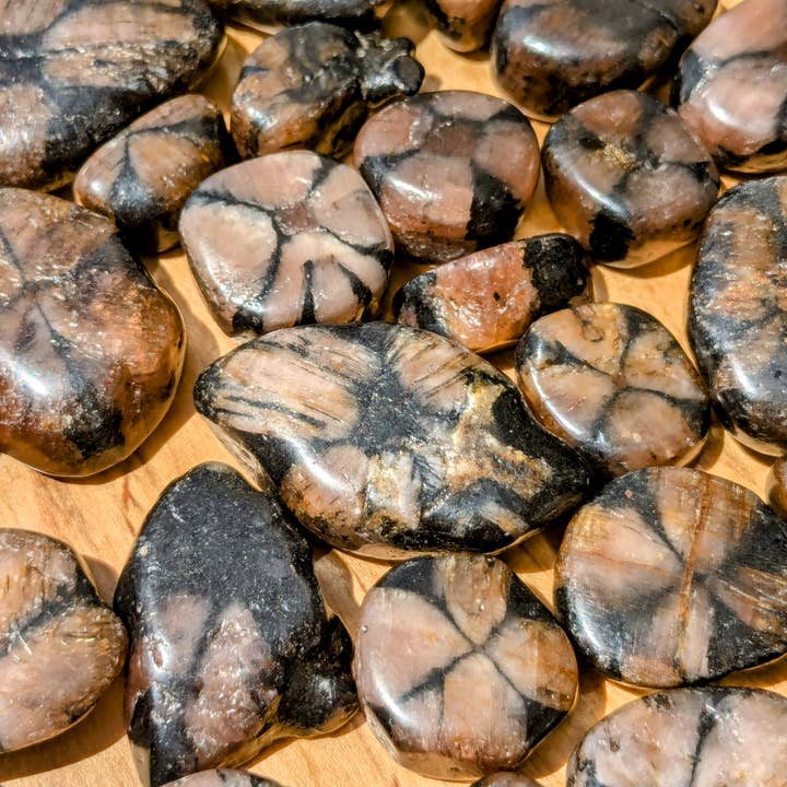 Jensen Rocks - Wholesale Spiritual Stone/Crystal - Chiastolite Tumbled Stones - 1-6 LB Lots2