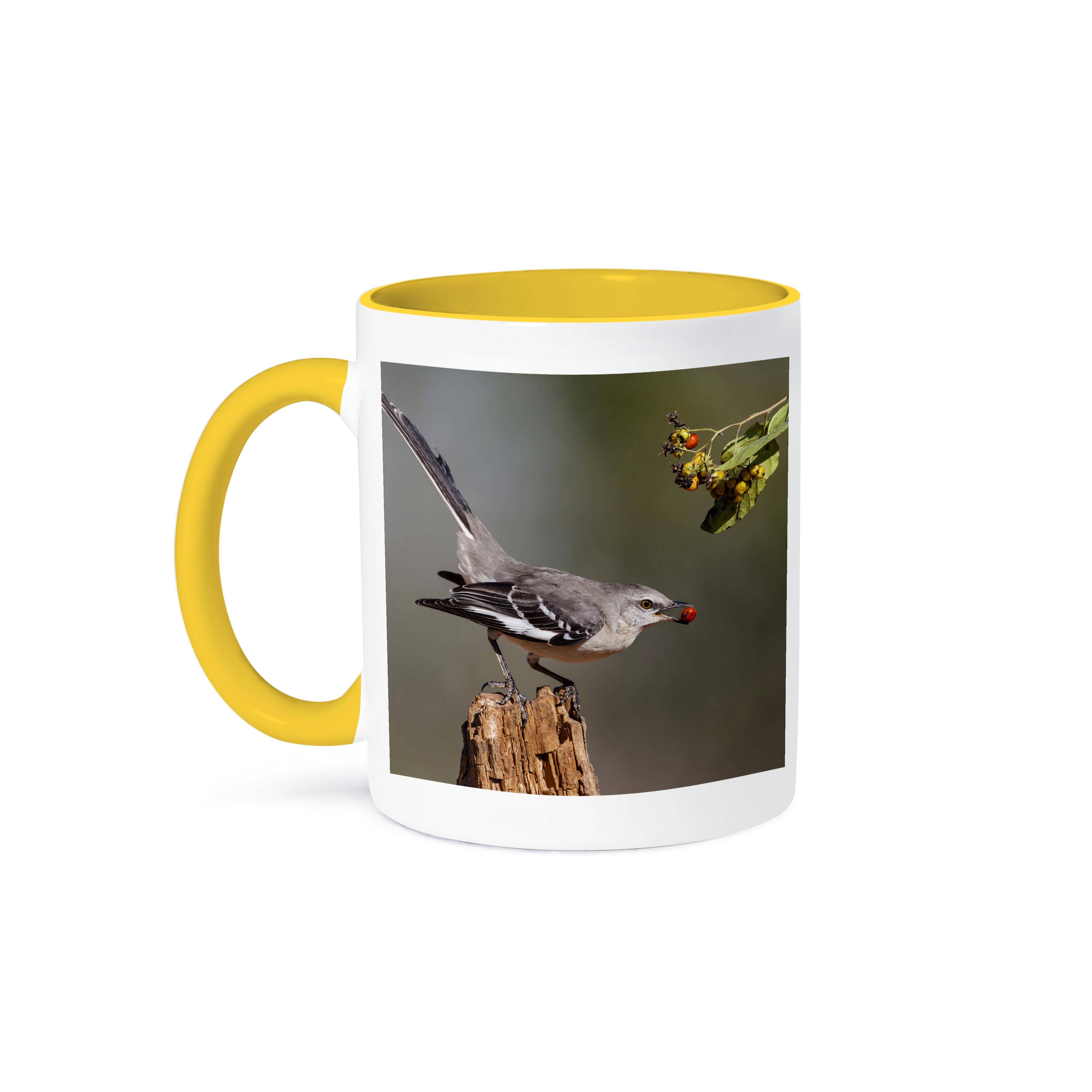 3dRose - Wholesale Coffee Mug - 3dRose, Northern mockingbird with berry., Mug0