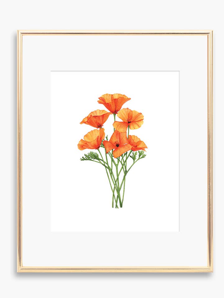 Poppy Art Print voor wholesale door Tara Feather Designs