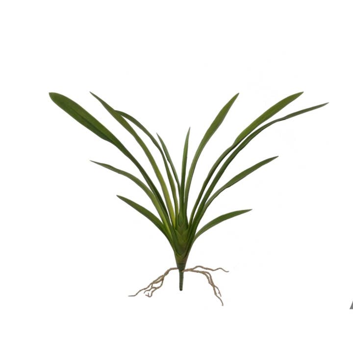 Larksilk - Wholesale Artificial Plant - 26" Cymbidium Leaf Cluster Faux0