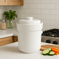 Cultures for Health - Wholesale DIY Food Kit - 3L Ceramic Fermentation Crock- 2 Pack 3