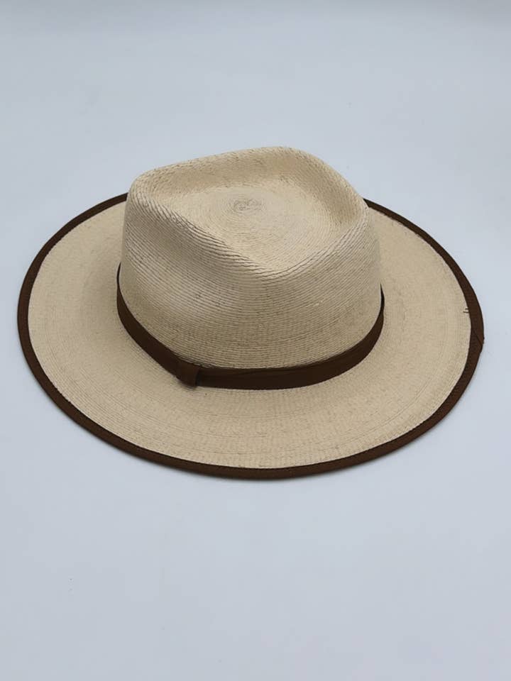 Fedora palm for wholesale by Alberly USA