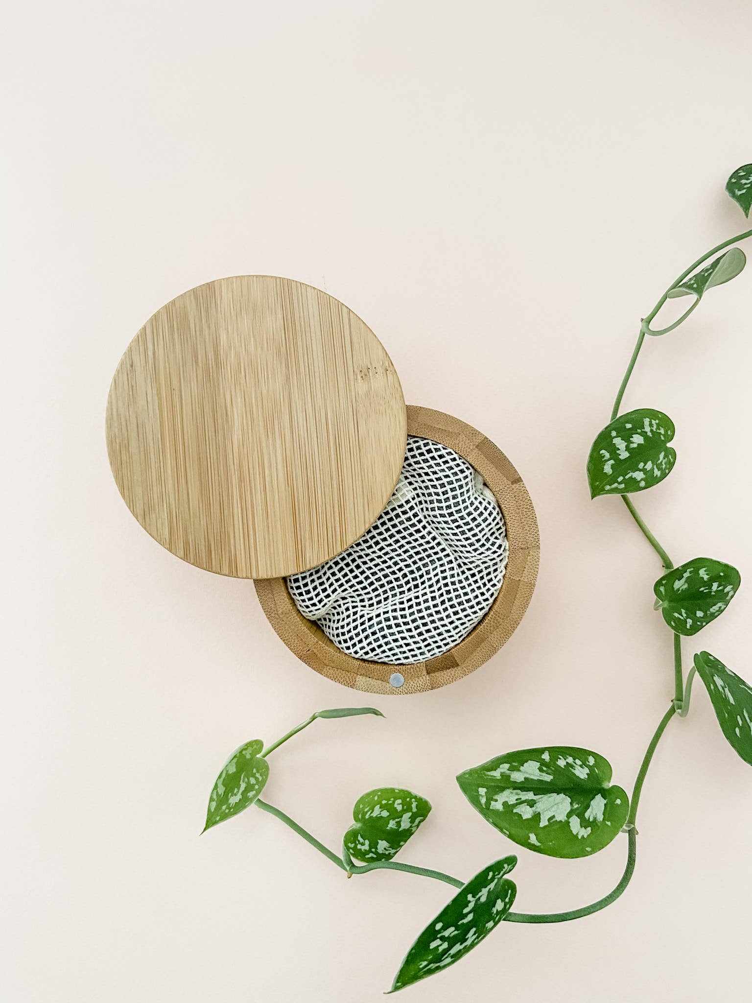 The future is bamboo - Wholesale Cotton Pad - Bamboo Charcoal Facial Rounds - STARTER KIT4