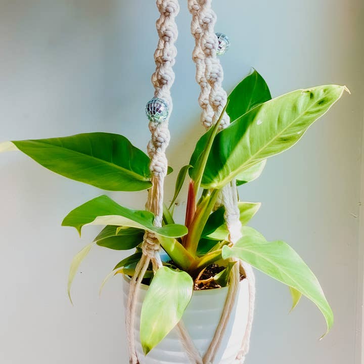 Knotted - Wholesale Hanging Planter - Disco Macrame Plant Hanger