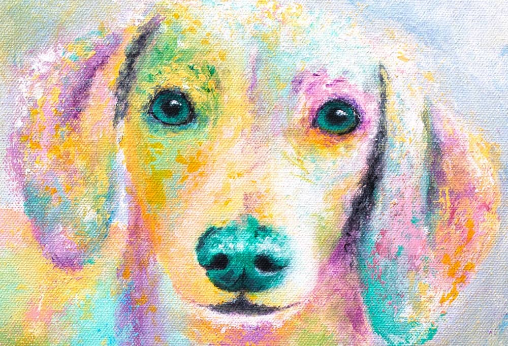Krystle Cole Fine Art - Wholesale Art Print - Dachshund Art Print - Harry1