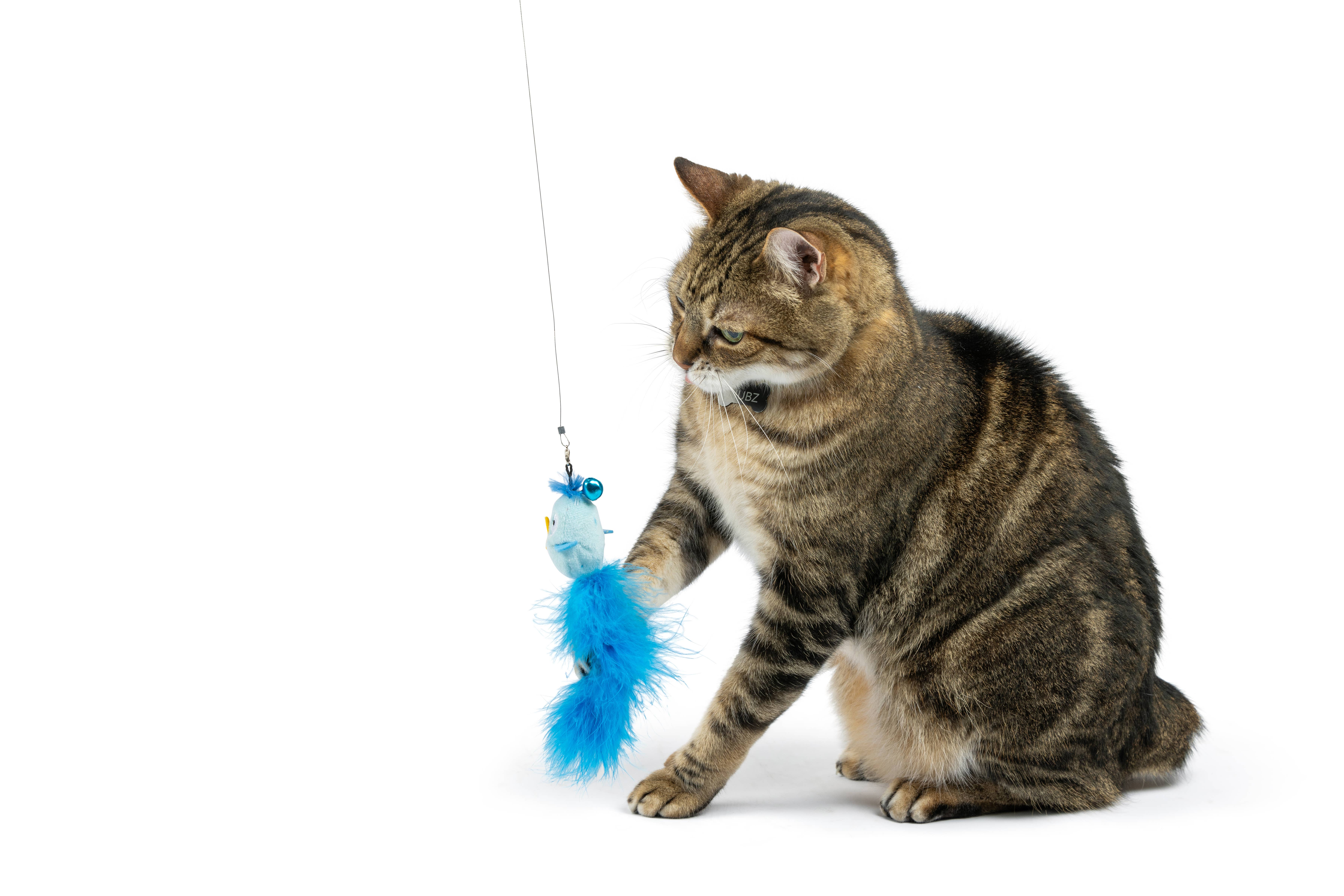 Huxley & Kent - Wholesale Pet Toy - Cat - Blue Birdy Feather Teasers 2pk Refill Cat Toy1