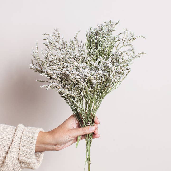 Idlewild Floral Co. - Wholesale Dried/Pressed Flowers - Dried German Statice