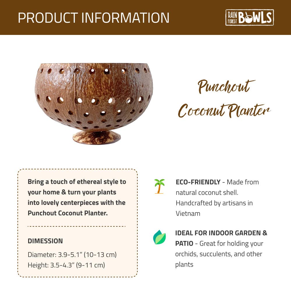 Rainforest Bowls – Engroshandel Plantekrukke – Punchout Coconut Planter5