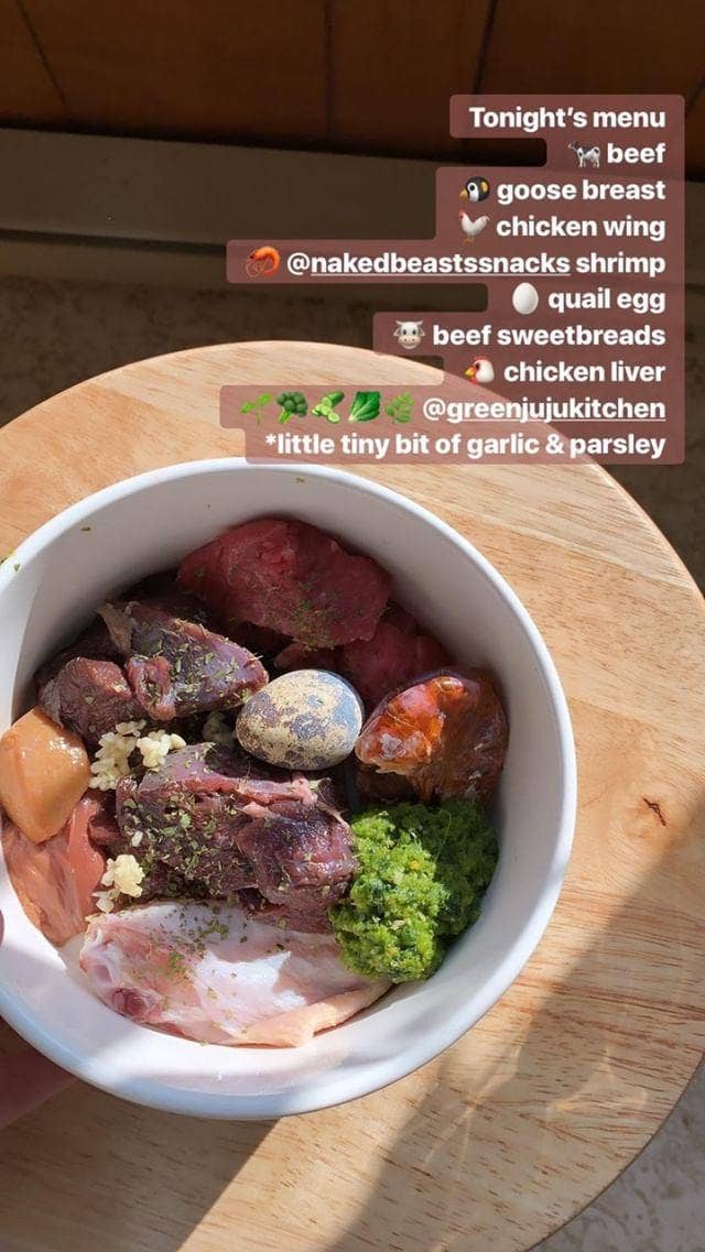 Naked Beasts, Inc. - Wholesale Pet Treats - Dog - Shrimp (+Freeze Dried Options)9