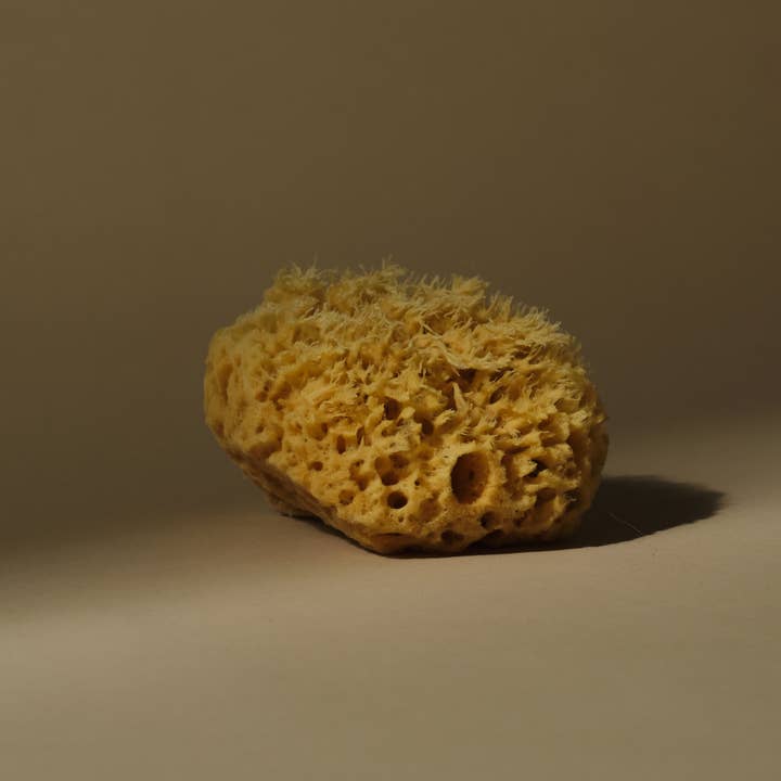 Well Kept - Vendita all'ingrosso Spugne da bagno morbide e a rete - Spugna marina, media, 10,5 cm