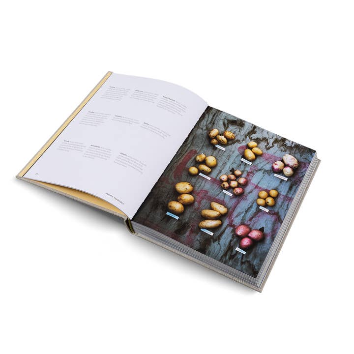 gestalten & teNeues - Wholesale Cookbook - Potato Total – Timeless Recipes for Every Home Cook