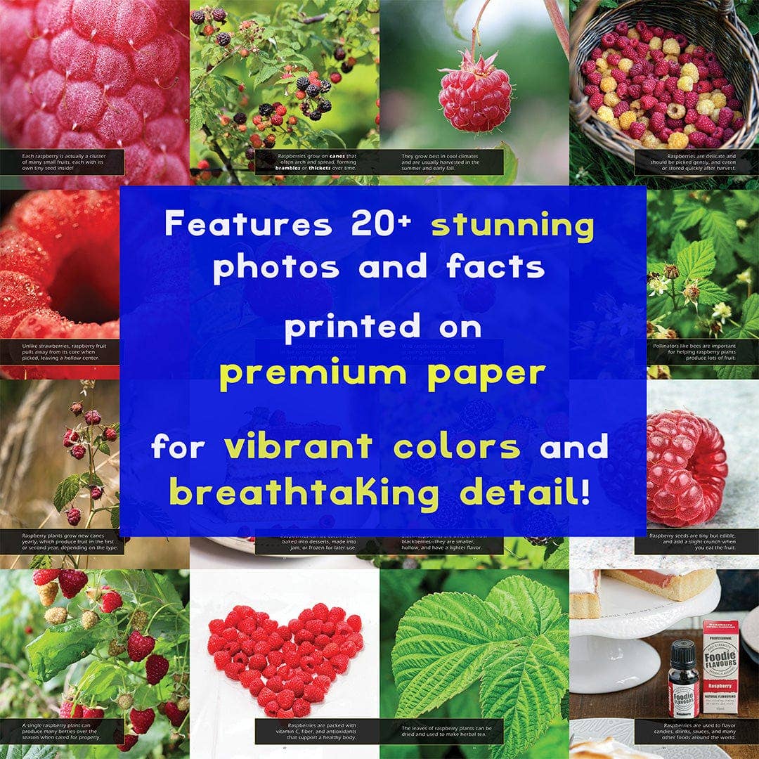 My Incredible World – wholesale Natur och friluftsliv – Hallon! En Min Otroliga Värld Bilderbok för Barn4