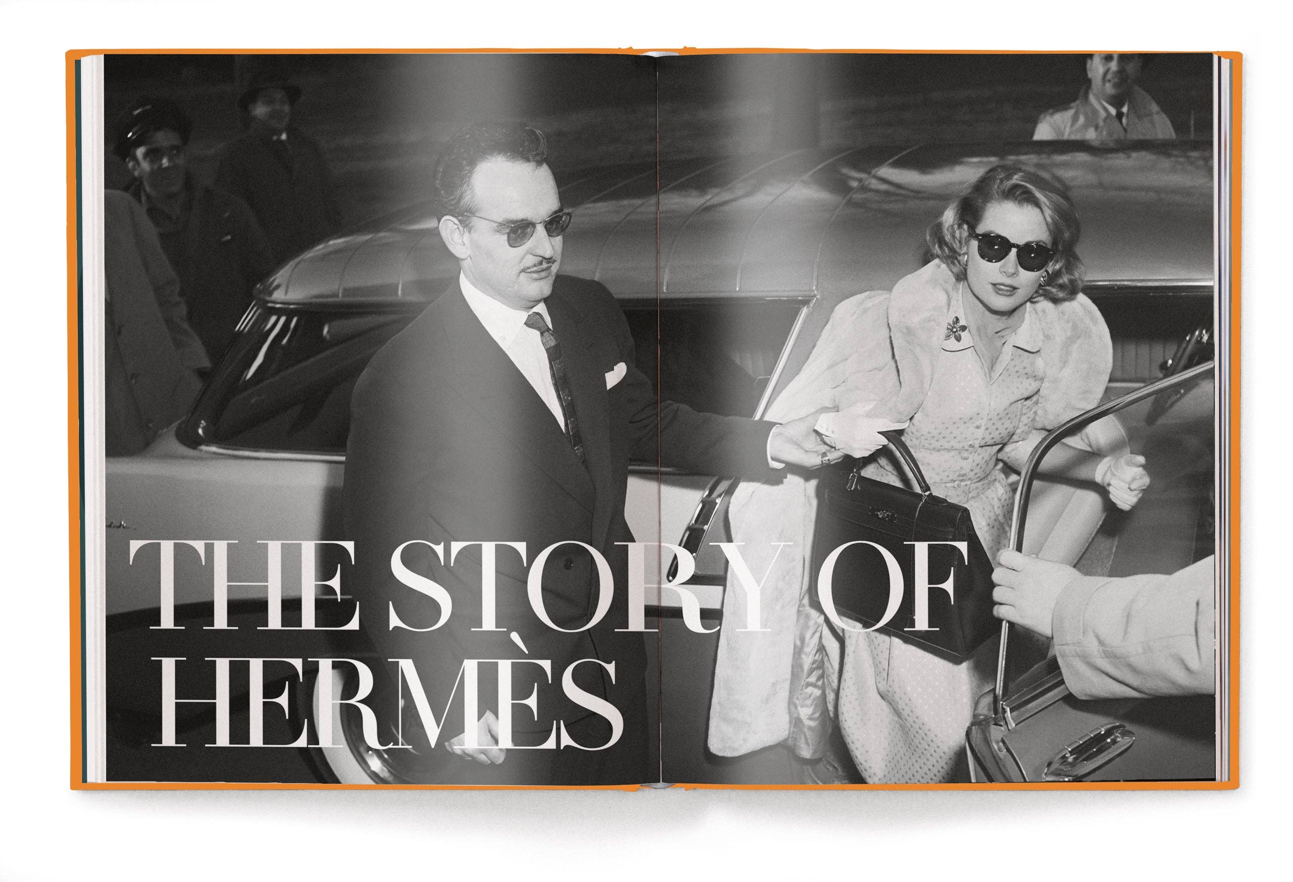 gestalten & teNeues - Wholesale Display Book - The Ultimate Guide to Hermès Bags2