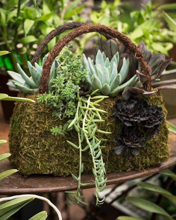 SuperMoss – wholesale Korg – Beaumont flätad handväska med handtag, set om 31