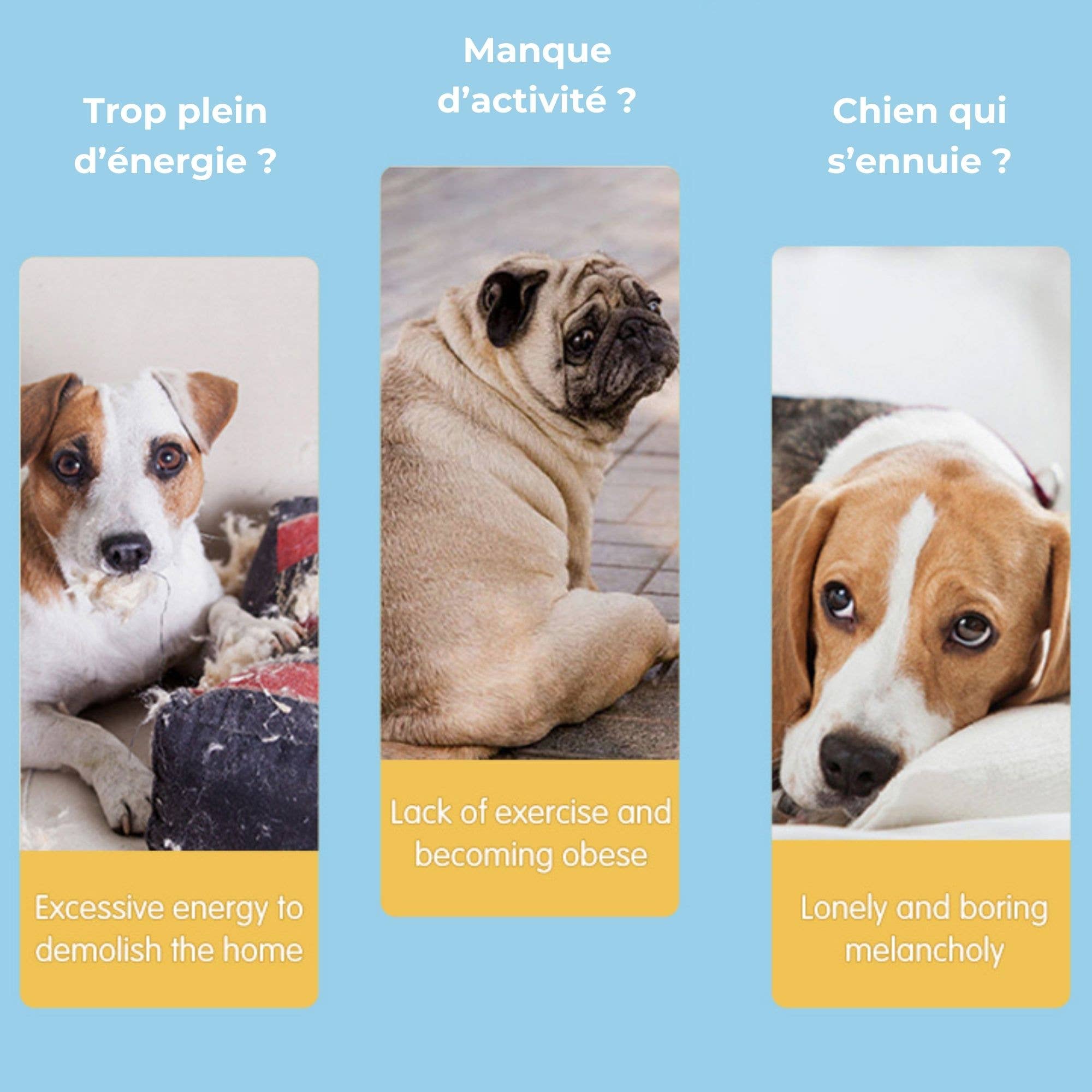 Climsom - Venta al por mayor Lanzador de pelotas - Perros - Lanzador automático de pelotas Ballouf para perros3