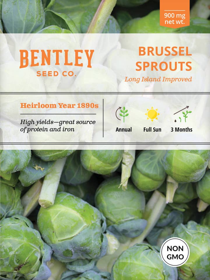 Choux de Bruxelles, Paquets de Graines de Long Island pour la vente par Bentley Seed Co.