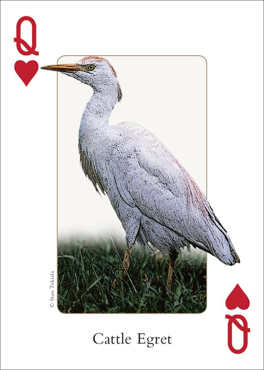 AdventureKEEN - Wholesale Playing Cards - Birds of Northwest Playing Cards4