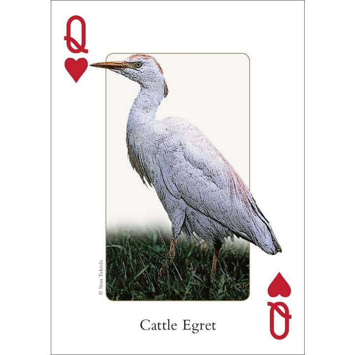 AdventureKEEN - Vente Jeu de cartes - Cartes à jouer Oiseaux du Nord-Ouest4