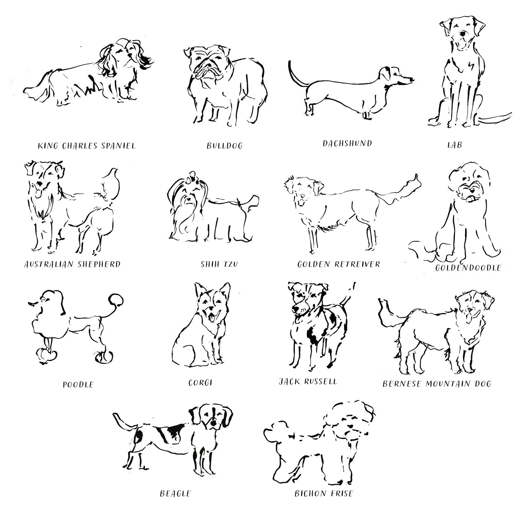 Peyton's Post - Wholesale Stationery/Notecard Set - Dog Breed Boxed Stationery Set 3