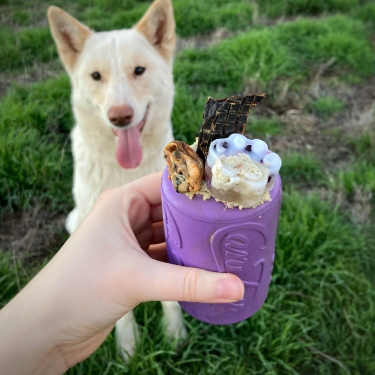 Rover Pet Products - Vente Jouet à mâcher – chien - Canette Toy6