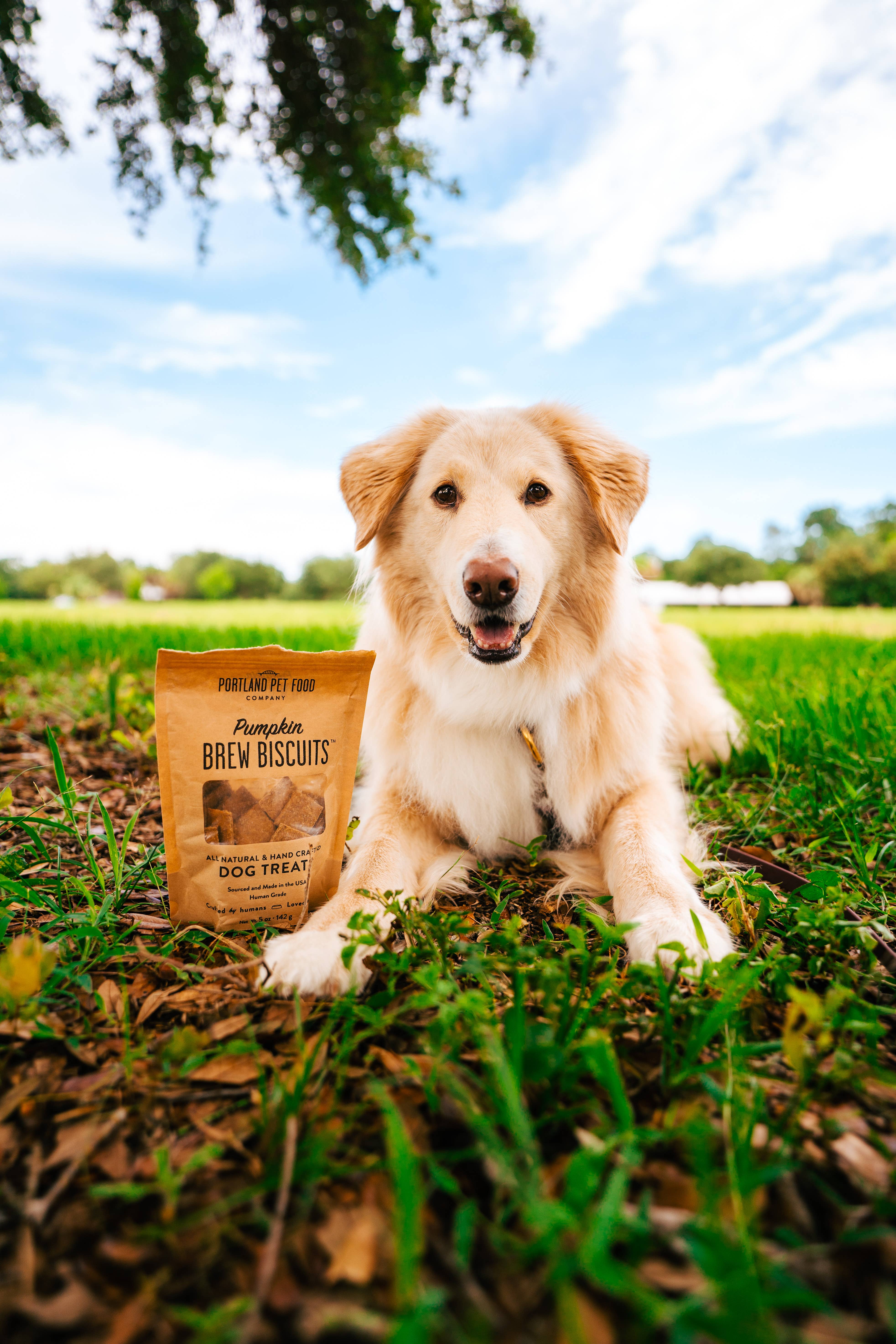 Portland Pet Food Company - Wholesale Pet biscuits – Dog - Pumpkin Brew Dog Biscuits4