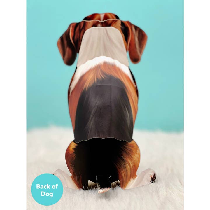 FreshCut Paper LLC – wholesale Vardagliga hälsningskort – Beagle (6 pop-up gratulationskort)1