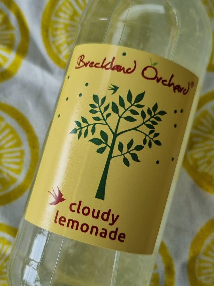 Cloudy Lemonade Posh Pop by Breckland Orchard 12 x 275ml for wholesale by Breckland Orchard