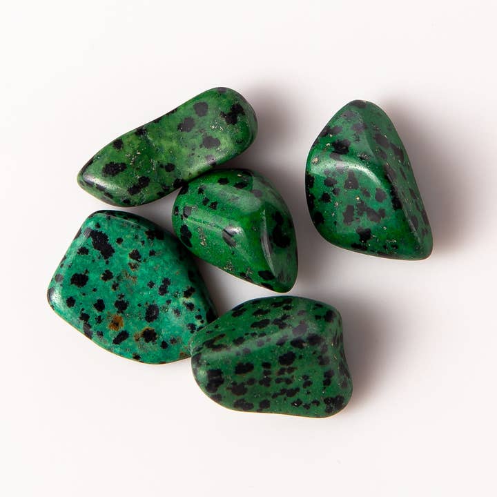 Tree of Life Gems – Engroshandel Spirituelle sten og krystaller – Medium tumlet grøn dalmatiner jaspis