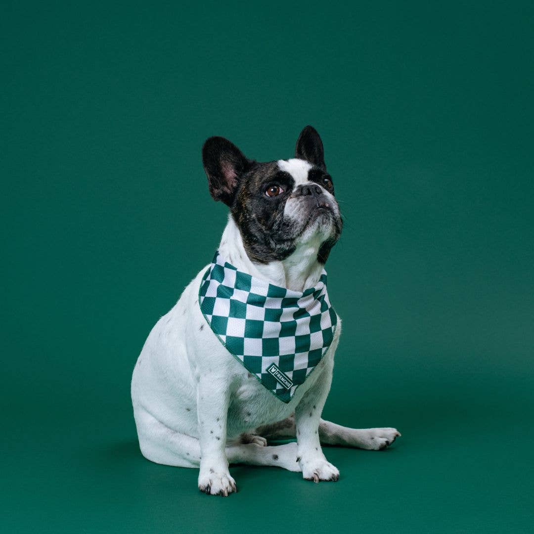 Frenchie - Wholesale Hondenbandana - Hond - Frenchie Cooling Bandana - Emerald City1