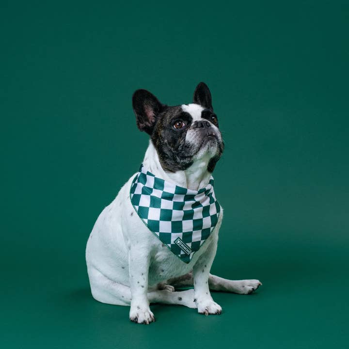 Frenchie - Wholesale Pet bandana – Dog - Frenchie Cooling Bandana - Emerald City1