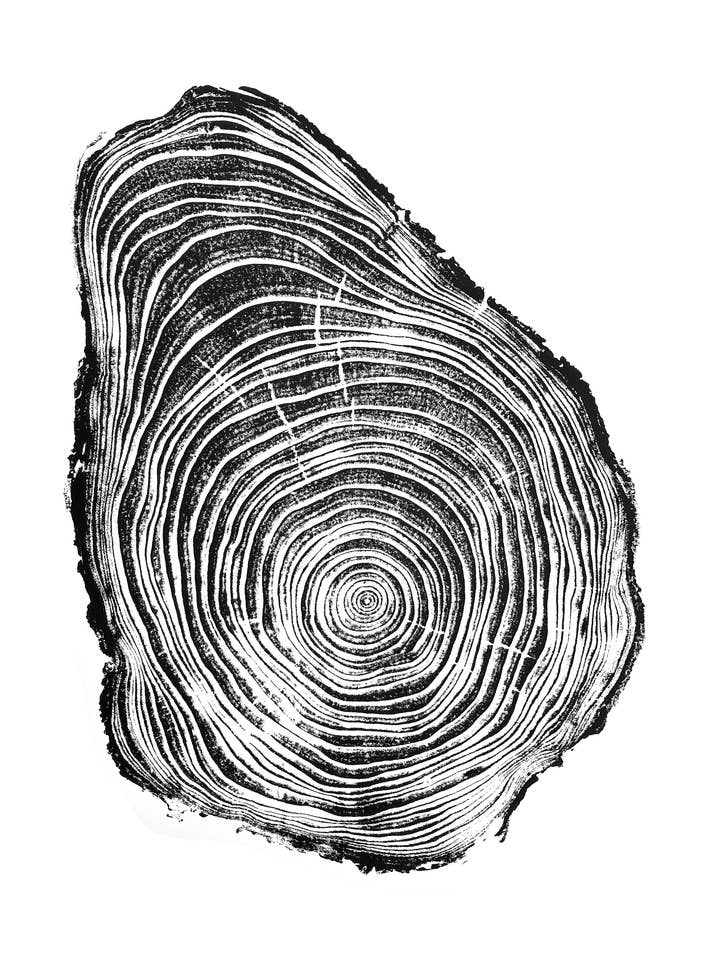 Stampa artistica con anello albero, 45,7 x 61 cm, stampa artistica su legno di pino per la vendita all'ingrosso da parte di na coille studio