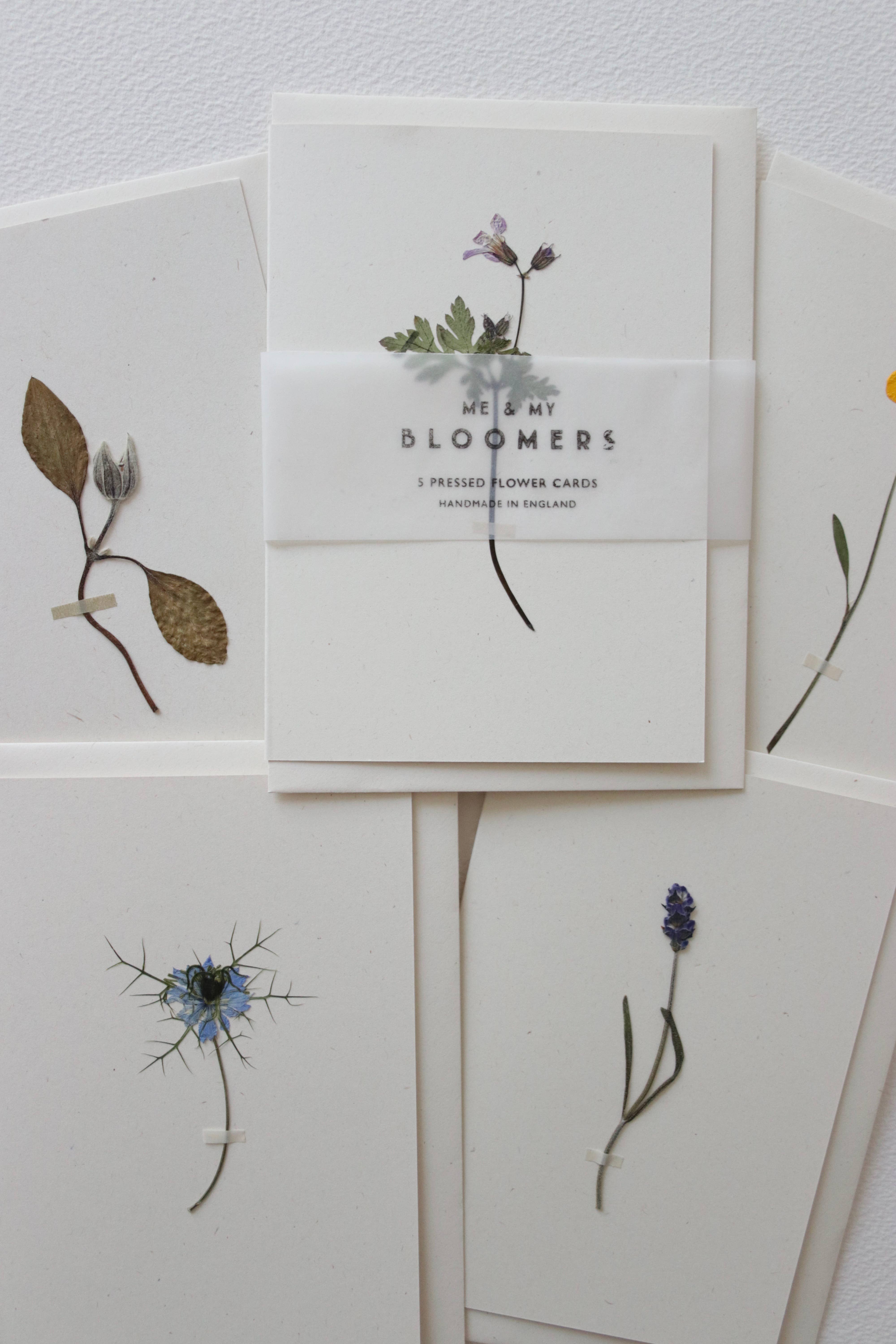 Me & My Bloomers - Vendita all'ingrosso Biglietti di auguri generici - Set di 5 biglietti con fiori pressati, n. 11