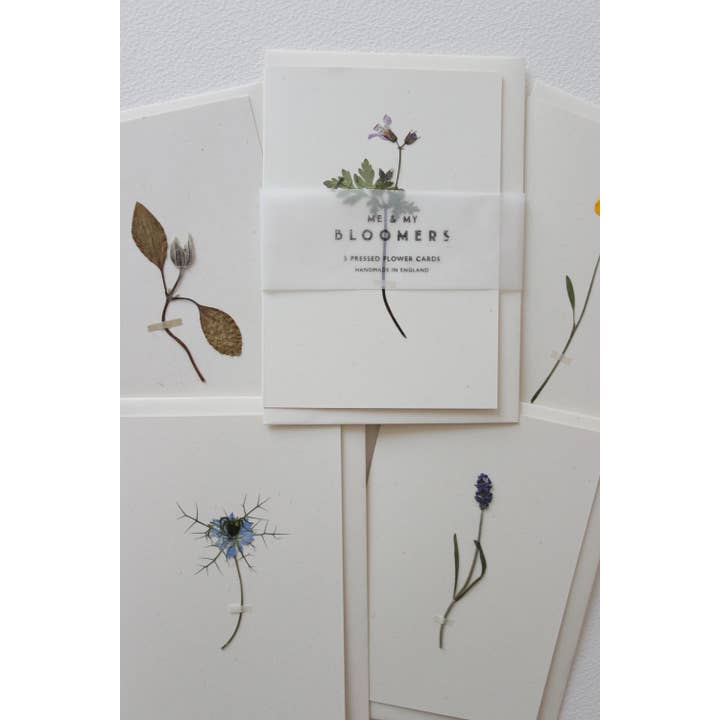 Me & My Bloomers - Vendita all'ingrosso Biglietti di auguri generici - Set di 5 biglietti con fiori pressati, n. 11