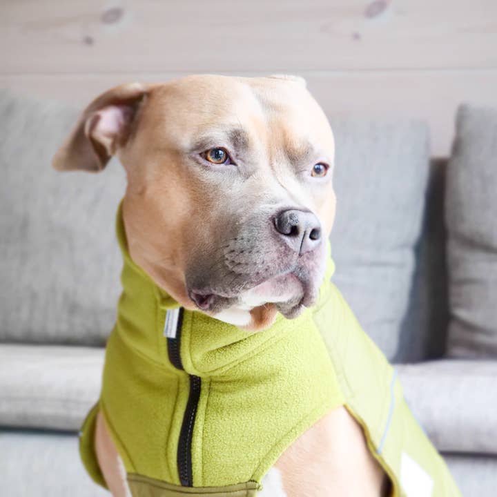 Cappotto per Cane con Cerniera - Impermeabile - Verde Oliva per la vendita all'ingrosso da parte di BullyBillows Ltd