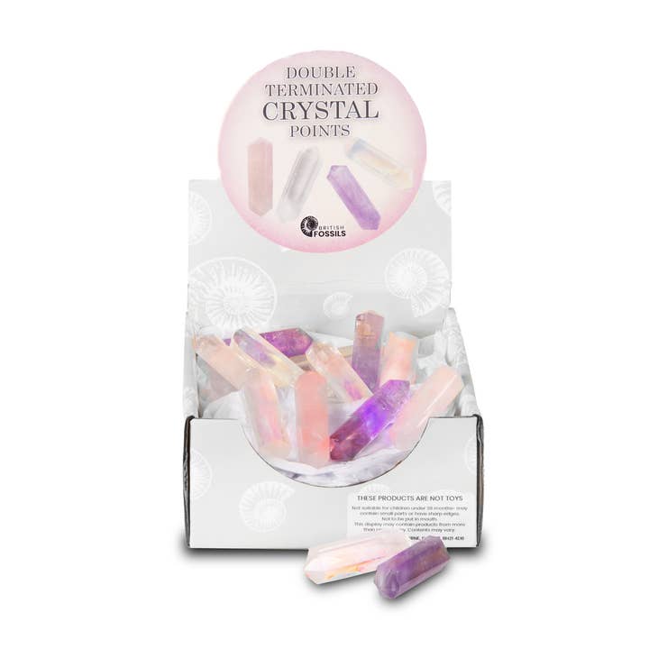 Dubbelterminerade spetsar paket för wholesale av British Fossils