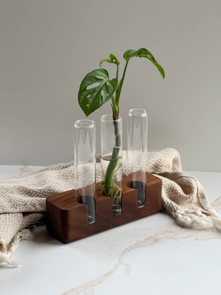 Propagation Station for wholesale by Camino Woodshop